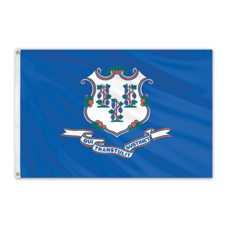 Connecticut Outdoor Nylon Flag 10'x15'